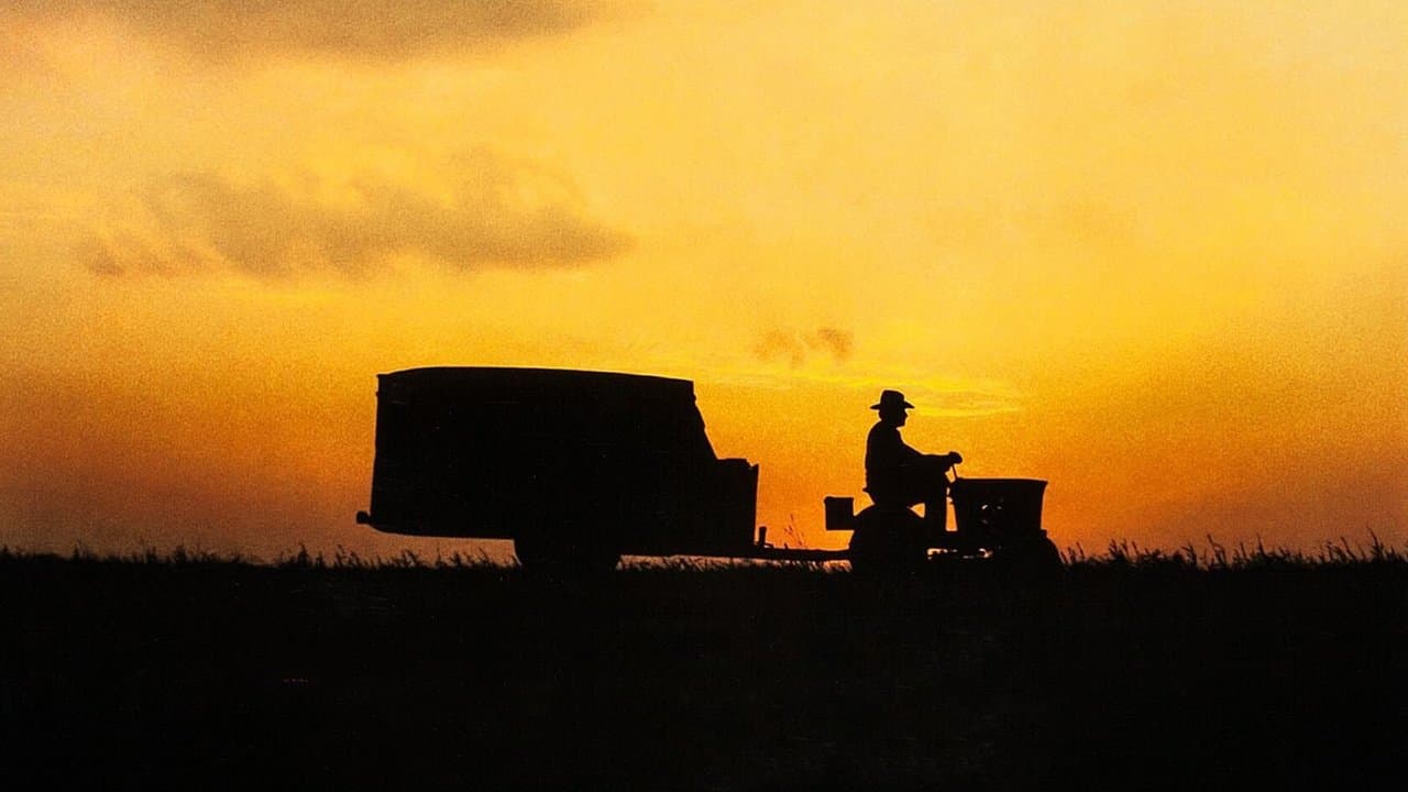 Backdrop di The Straight Story