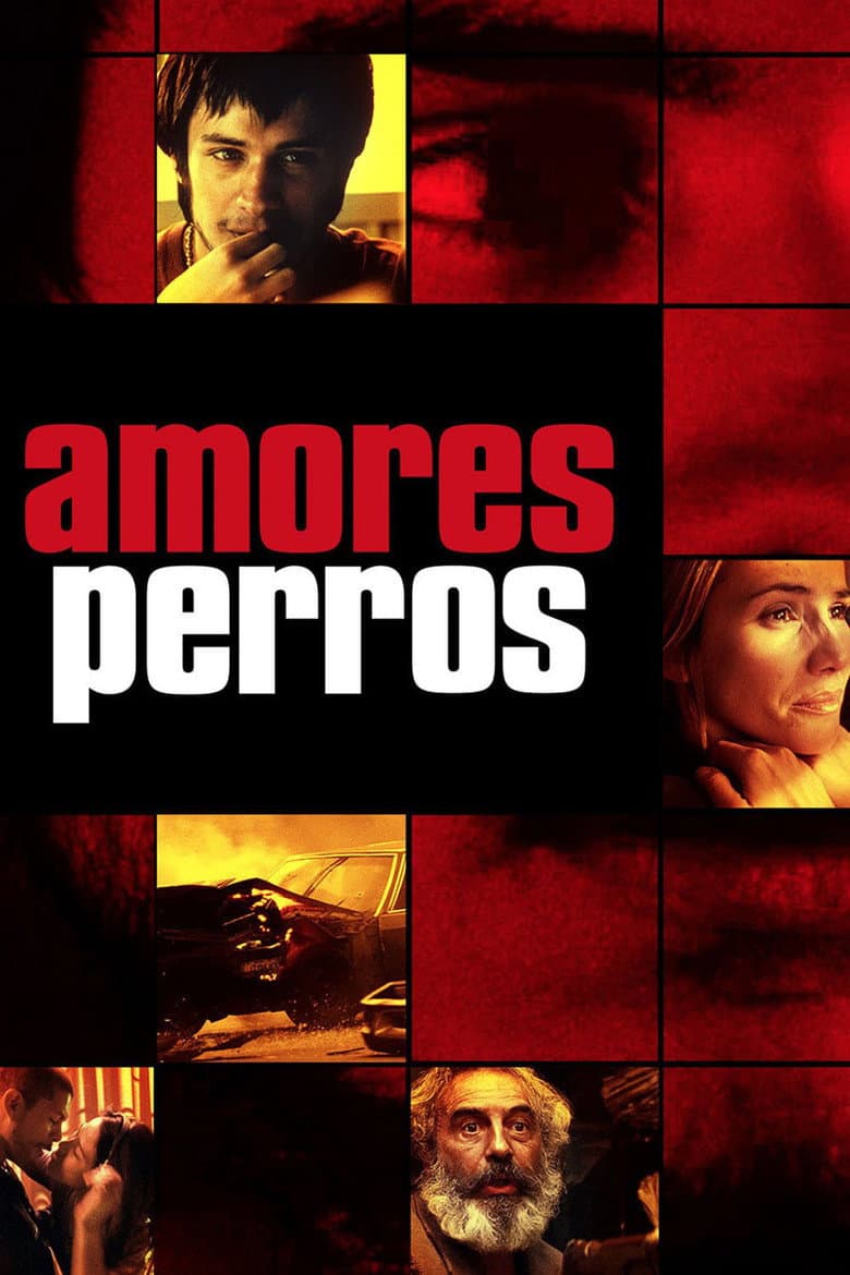 Poster di Amores Perros